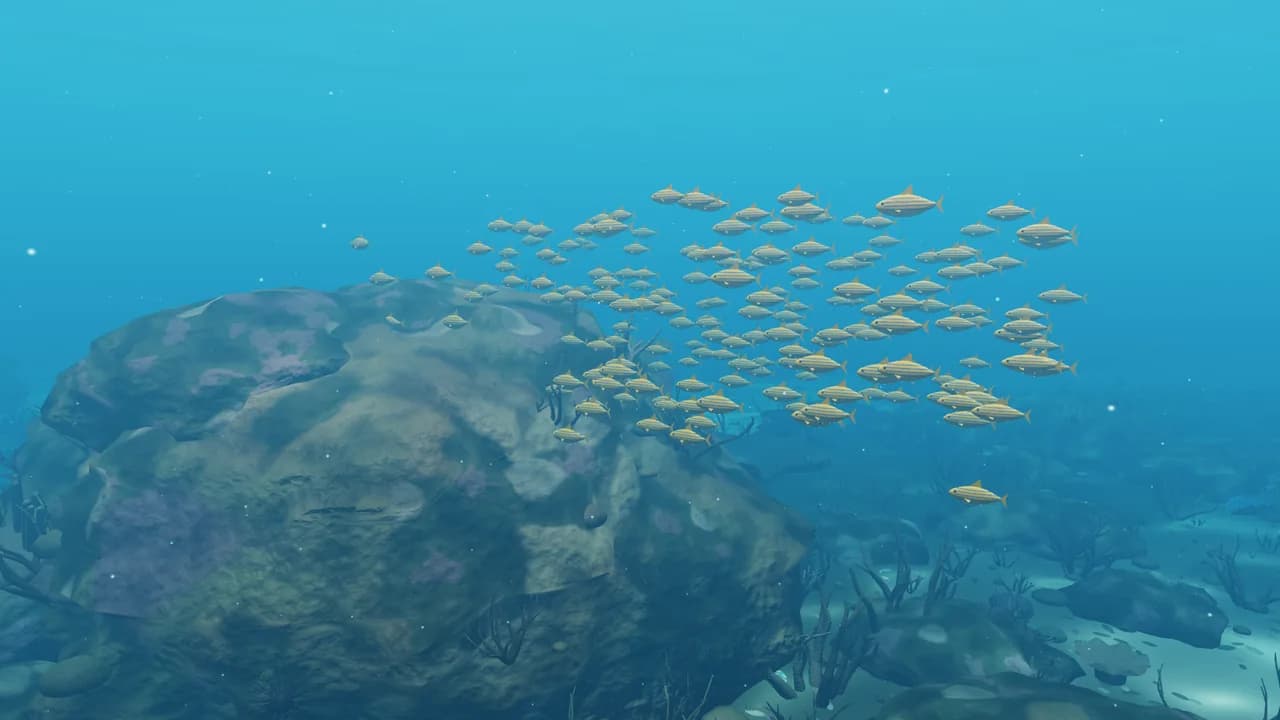 Four metres down on a Maldives reef: a school of bluestripe snapper over a coral head