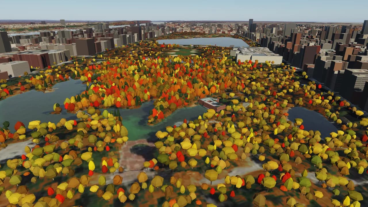 Central Park from the air as its trees go from green to autumn colour to bare winter branches